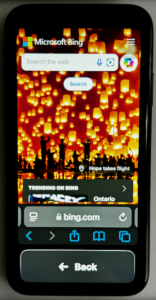 Assistive access Safari 